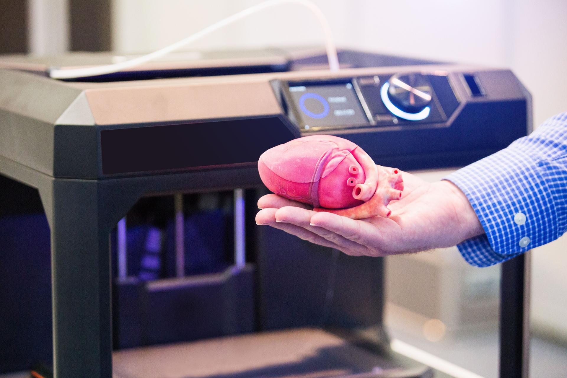 The heart printed on a 3d printer