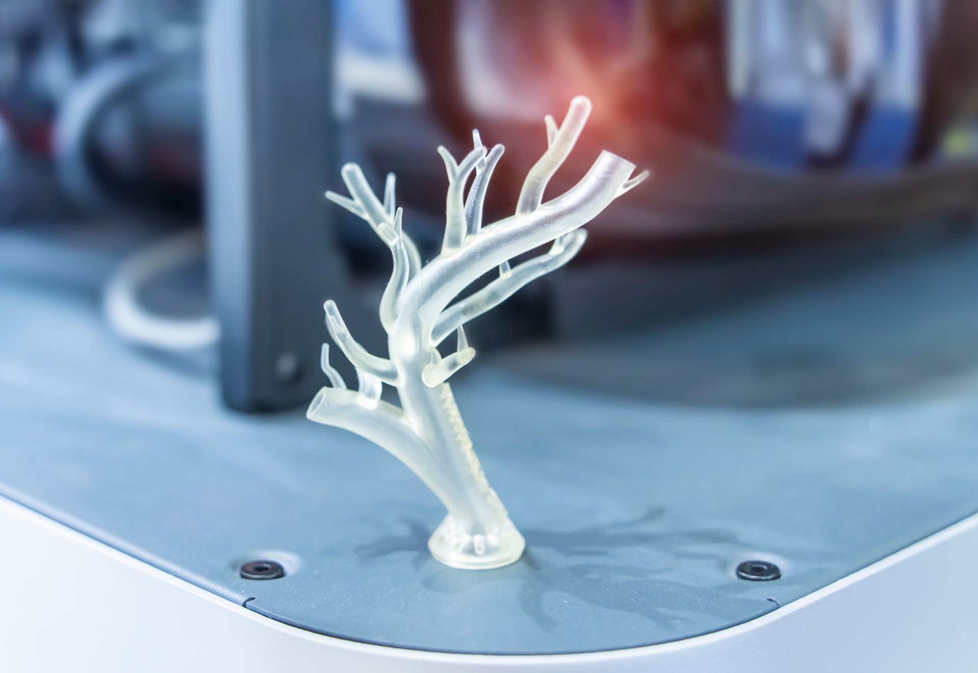 medically accurate a human blood vessel printed on 3d printer